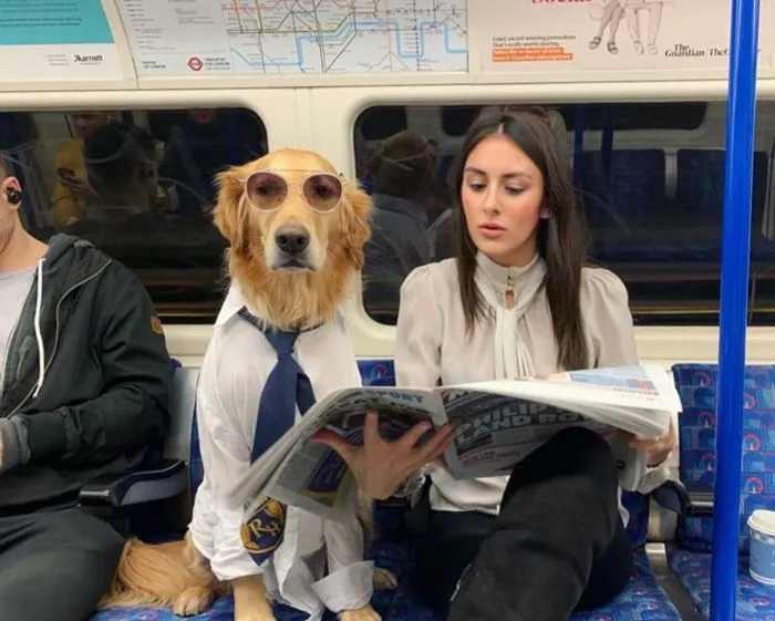 La conexión de esta chica con sus perros es la definición de amigos del alma (30 imágenes)