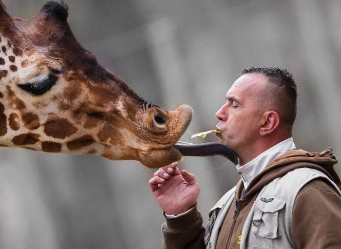 People Show How Animals Should Be Loved