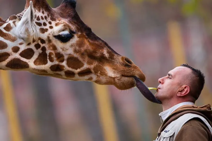 People Show How Animals Should Be Loved