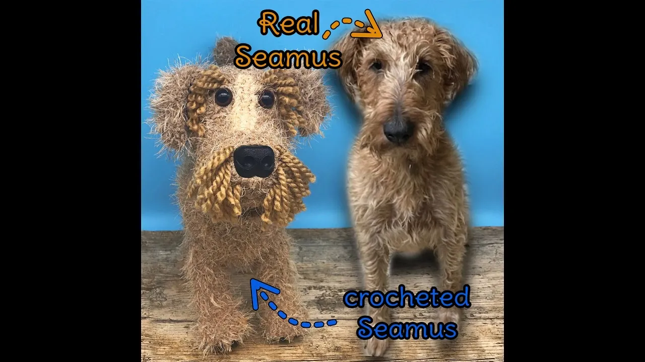Couple Make Multi-Award Winning Crochet Pet Clones