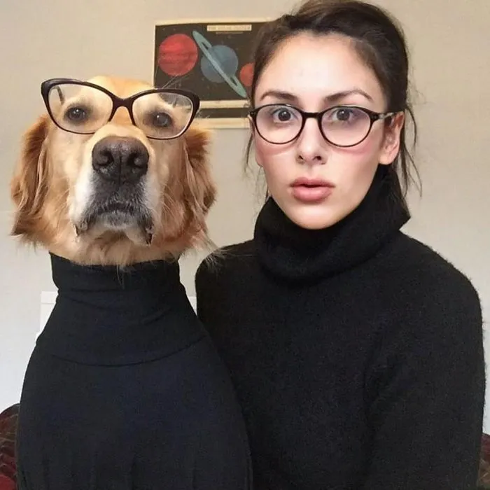 La conexión de esta chica con sus perros es la definición de amigos del alma (30 imágenes)