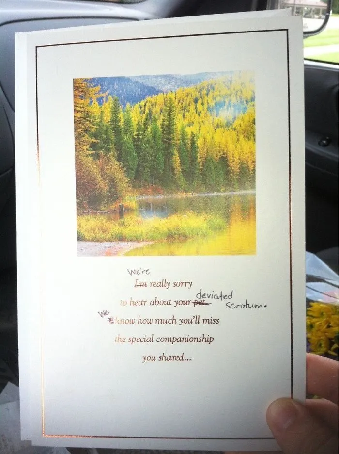 My Friend Had Surgery On Her Deviated Septum Today (She Accidentally Called It A Deviated Scrotum), So A Friend And I Got Her A Card