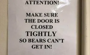 40 Threatening Signs That Don't Mess With Sugar-Coating