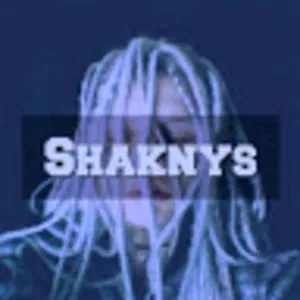 Shaknys Art