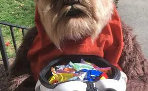 50 Halloween Costumes You Probably Wish You Thought Of Yourself (New Pics)