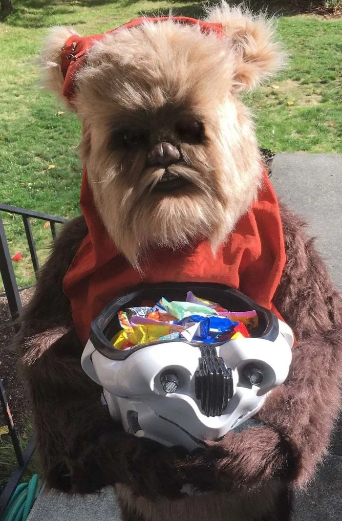 I Made An Ewok Costume For My Daughter