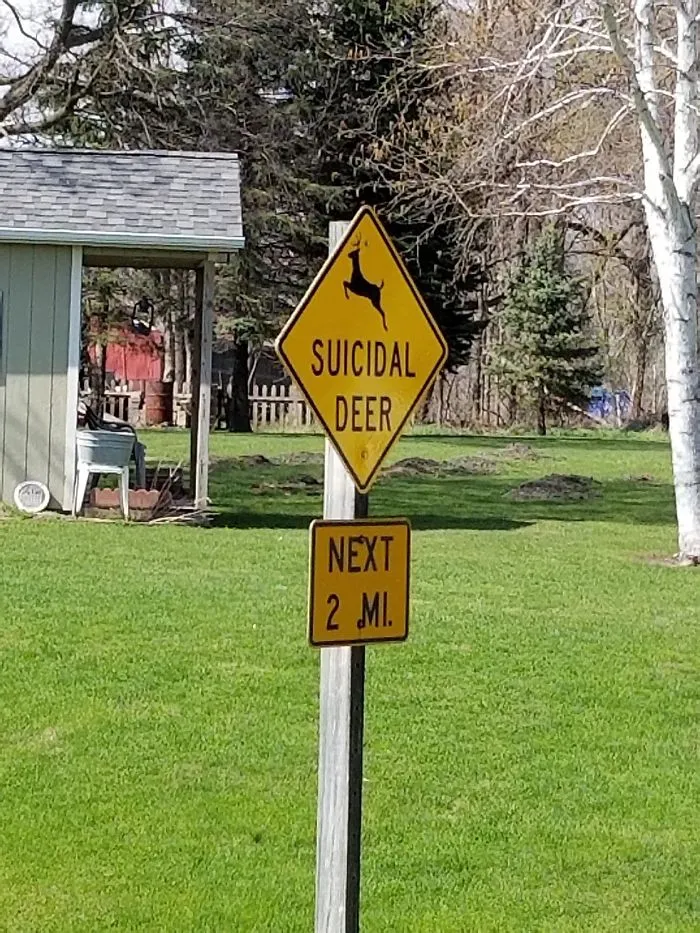 This Is A Real Sign