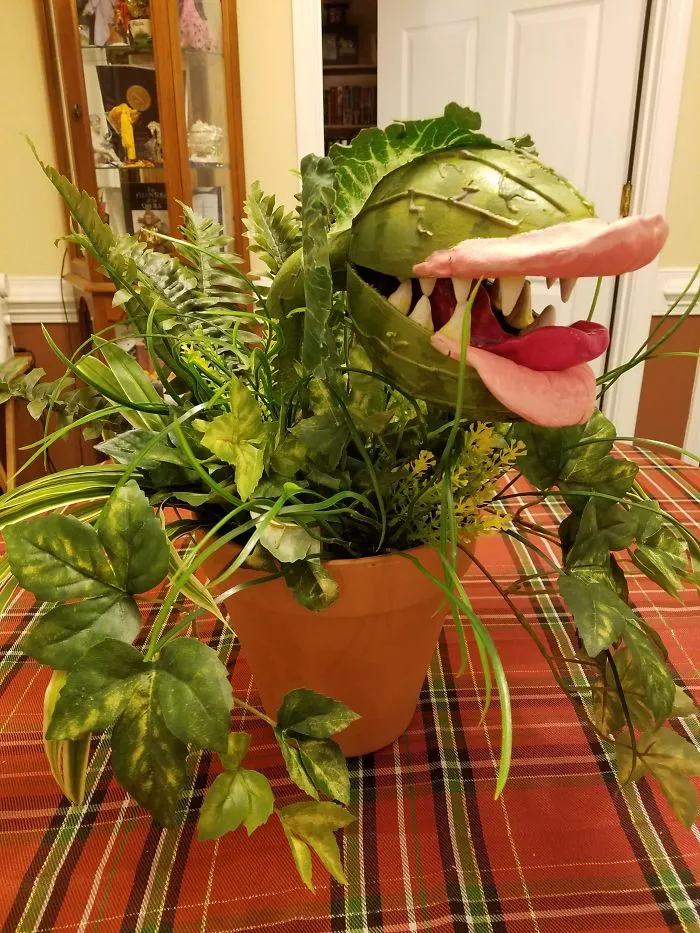 I Made This For Halloween