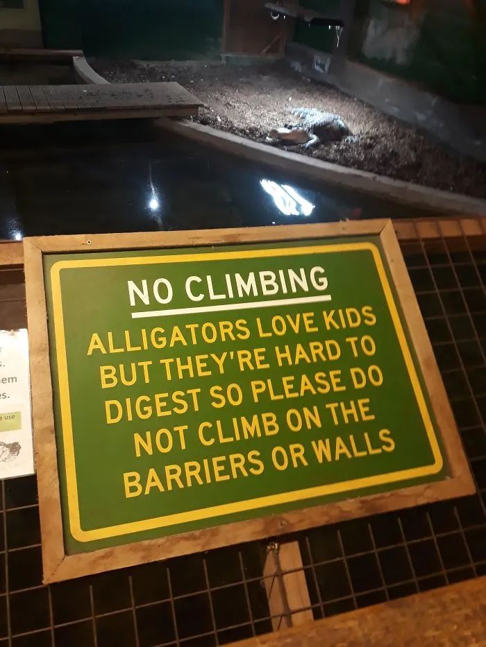 A los aligators les encantan los niños, pero les cuesta digerirlos, así que no suban a las vallas o paredes