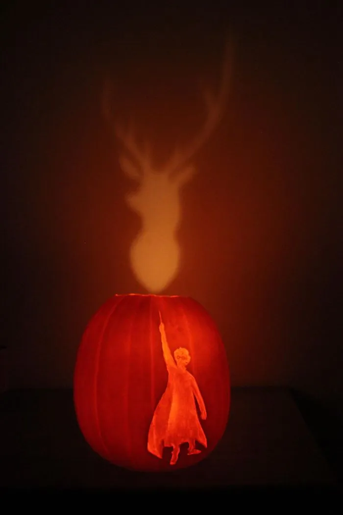 I Carved This For Halloween. Expecto Pumpkin