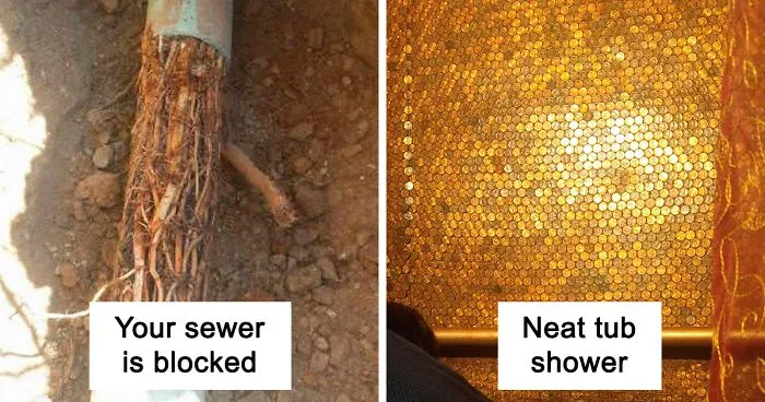 This Guy Has Been A Plumber For 2 Years, And Here Are The Crazy Things He's Seen On The Job (30 Pics)