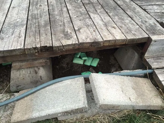 A Rodent Died Under Our Sunroom This Winter And Stunk Up The House. This Was My Landlord's Answer To Fixing The Smell
