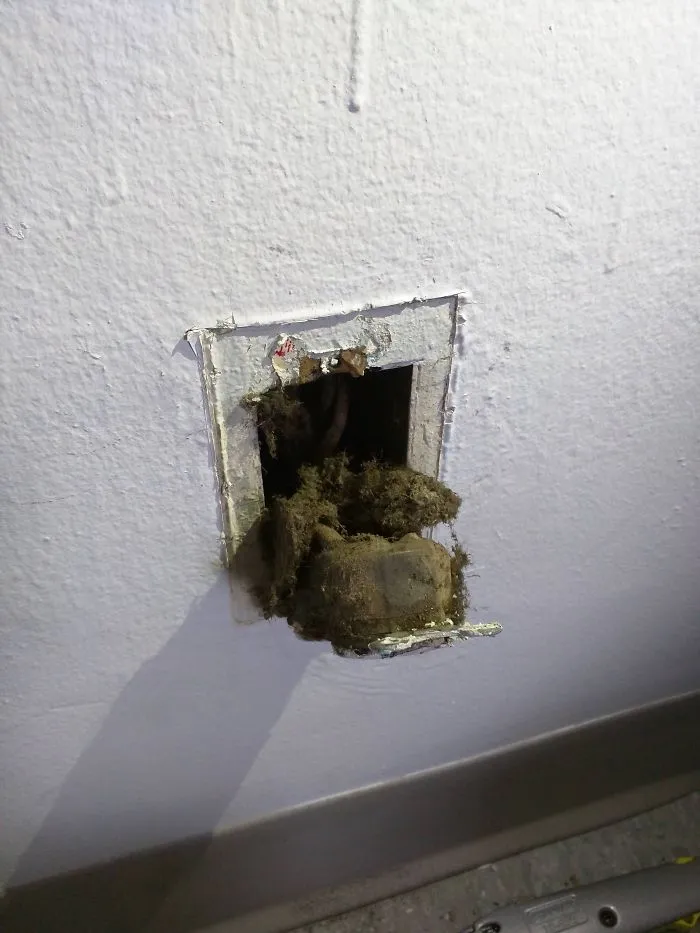 El casero me ignoró al decirle que un enchufe echaba chispas, lo miré yo y encontré esto