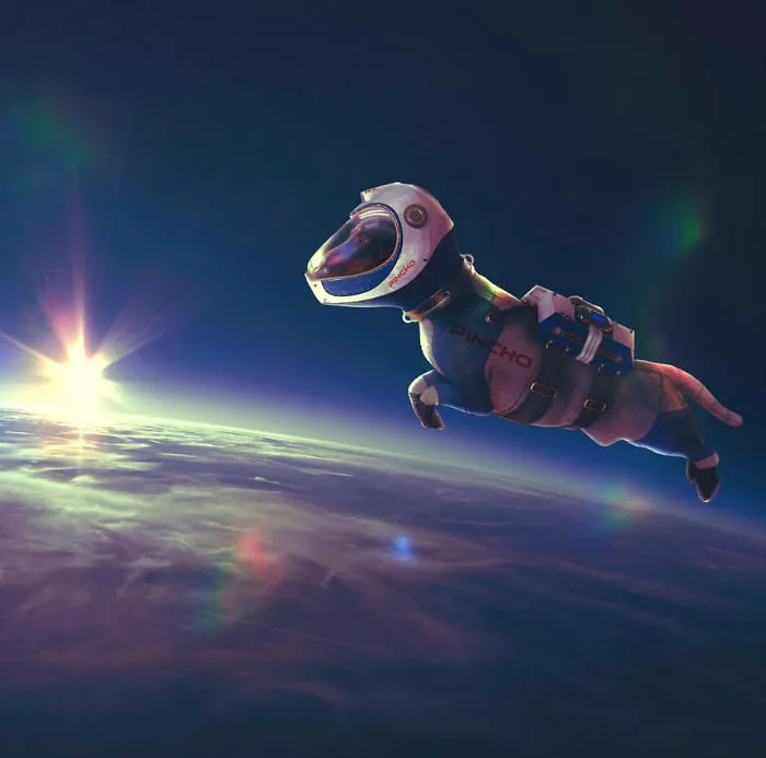 When Pincho Was In Space
