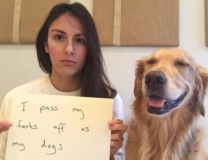 La conexión de esta chica con sus perros es la definición de amigos del alma (30 imágenes)