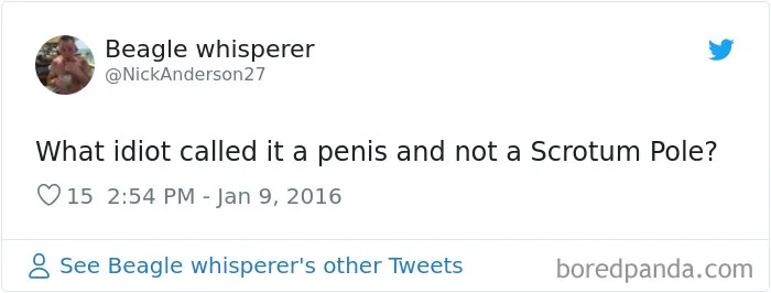 30 Of The Funniest 'What Idiot Called It' Memes