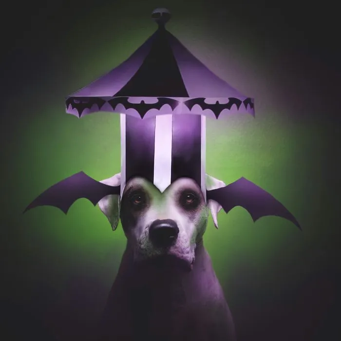 I Photoshopped My 3 Dogs In An Epic Halloween Series (12 Pics)