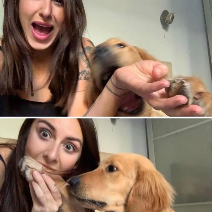 La conexión de esta chica con sus perros es la definición de amigos del alma (30 imágenes)