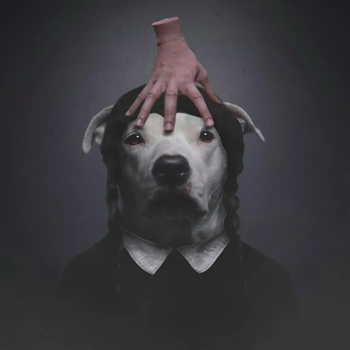 I Photoshopped My 3 Dogs In An Epic Halloween Series (12 Pics)