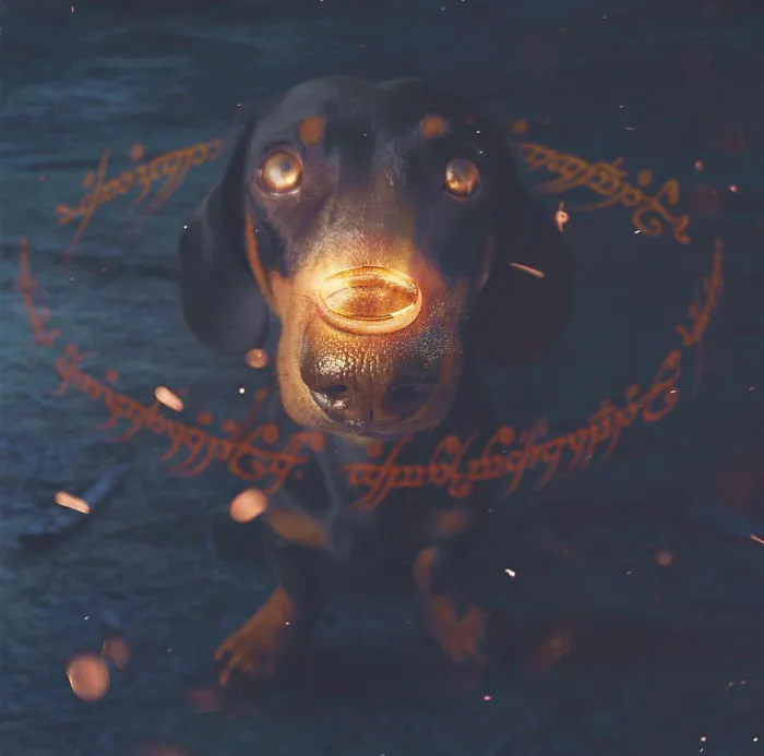 When Pincho Was In Middle Earth