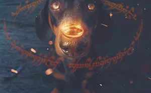 I Show A Dachshund Traveling Around The World