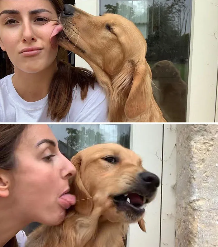 La conexión de esta chica con sus perros es la definición de amigos del alma (30 imágenes)