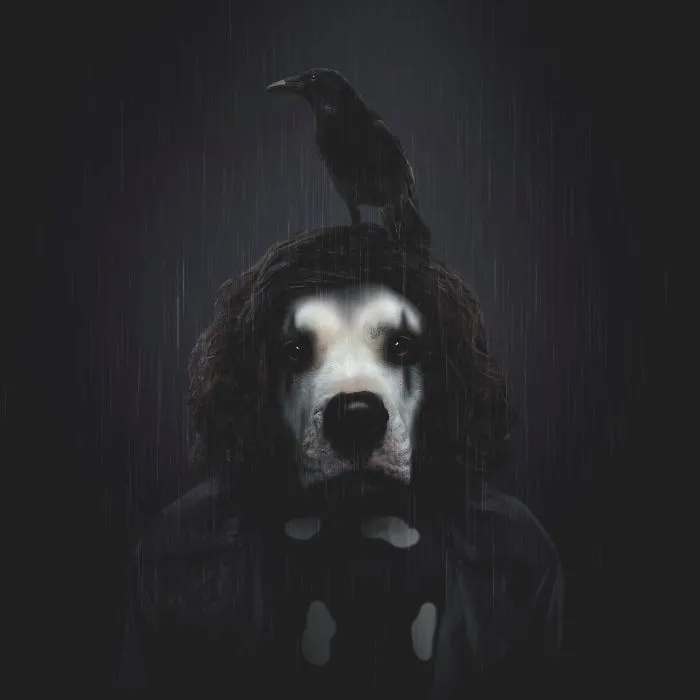I Photoshopped My 3 Dogs In An Epic Halloween Series (12 Pics)