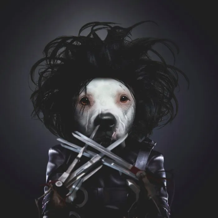 I Photoshopped My 3 Dogs In An Epic Halloween Series (12 Pics)