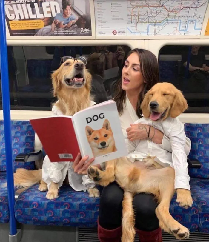 La conexión de esta chica con sus perros es la definición de amigos del alma (30 imágenes)
