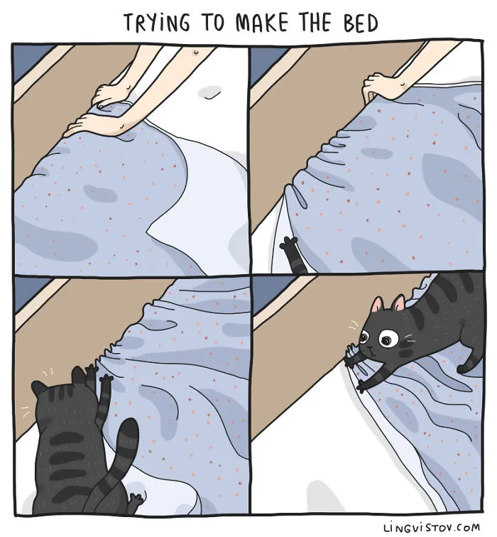 I Illustrate Hilarious Moments In The Life Of Every Cat Owner (40 New Pics)
