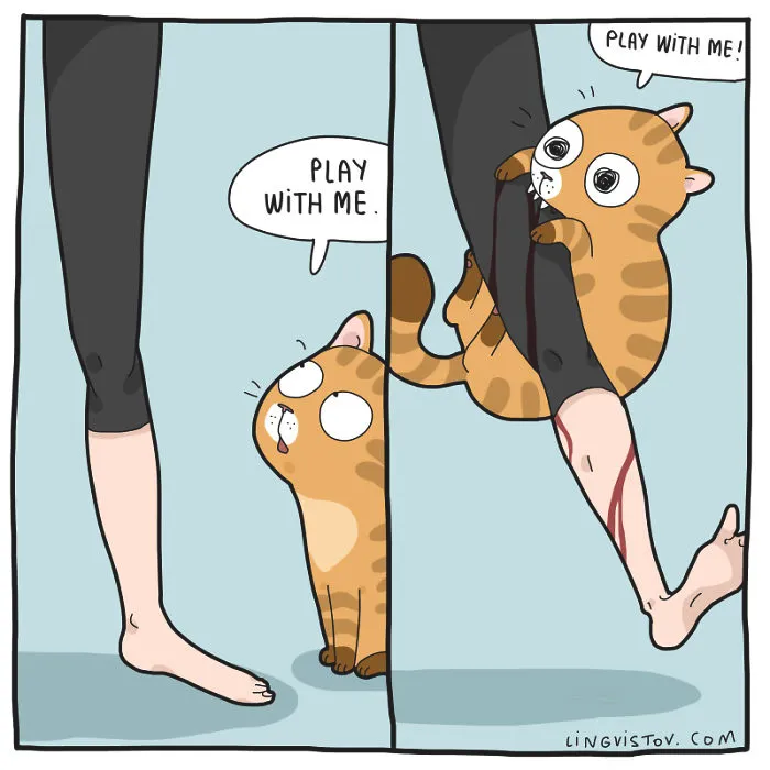 Lingvistov Cat Comics