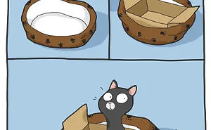 I Illustrate Hilarious Moments In The Life Of Every Cat Owner (40 New Pics)