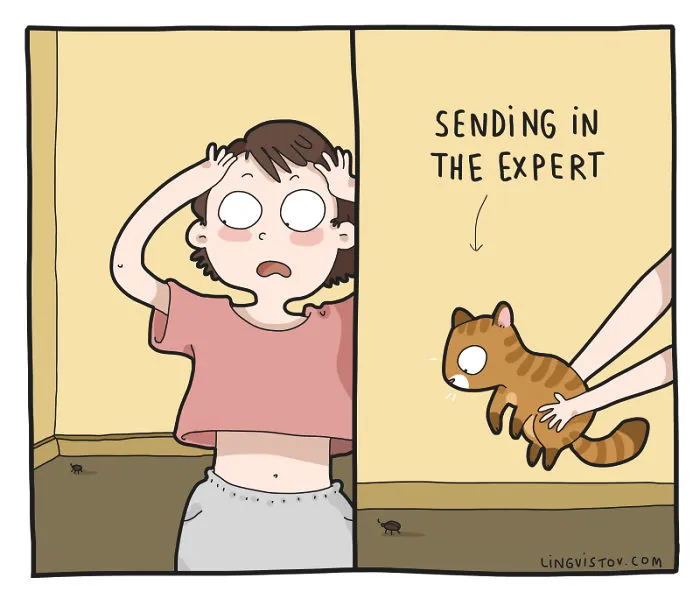 I Illustrate Hilarious Moments In The Life Of Every Cat Owner (40 New Pics)