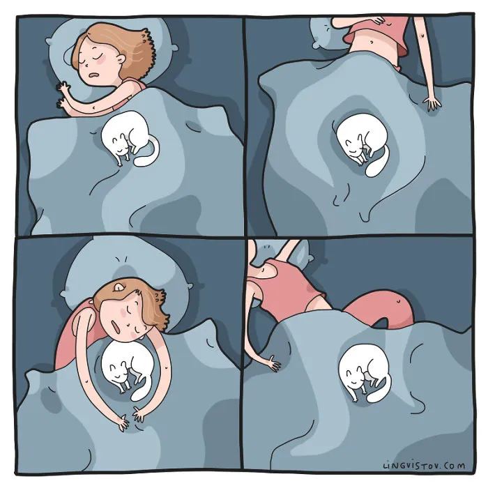 I Illustrate Hilarious Moments In The Life Of Every Cat Owner (40 New Pics)