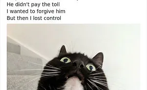 This Funny Cat Named Zelda Takes Over Twitter With Her Funny Posts (45 New Pics)
