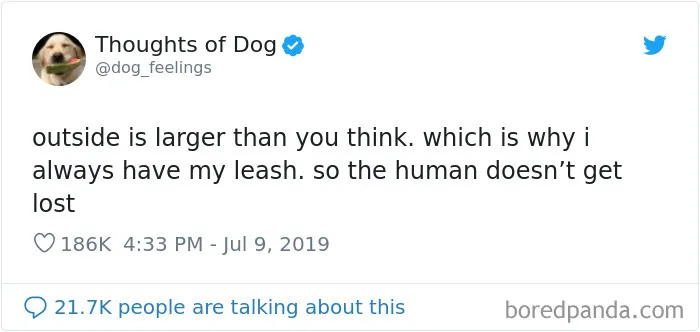 30 Of The Funniest Dog Thoughts That Dog Owners Understand Too Well (New Pics)