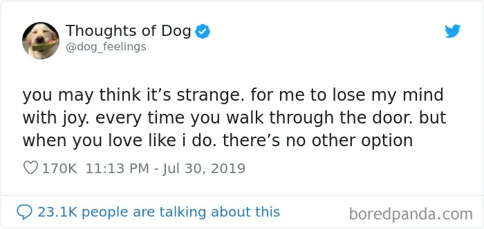 30 Of The Funniest Dog Thoughts That Dog Owners Understand Too Well (New Pics)