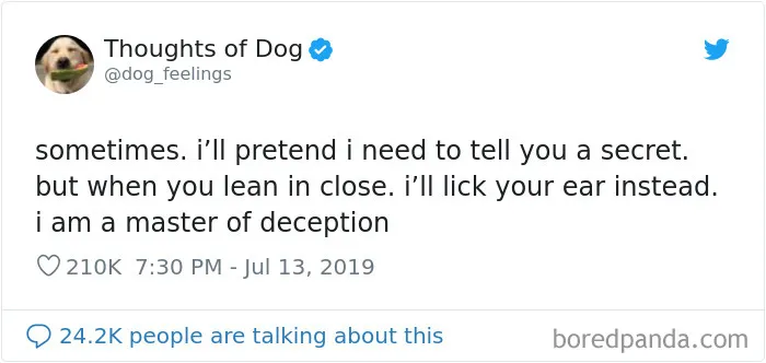 30 Of The Funniest Dog Thoughts That Dog Owners Understand Too Well (New Pics)