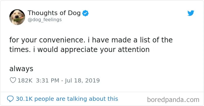 30 Of The Funniest Dog Thoughts That Dog Owners Understand Too Well (New Pics)