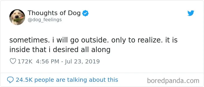 30 Of The Funniest Dog Thoughts That Dog Owners Understand Too Well (New Pics)
