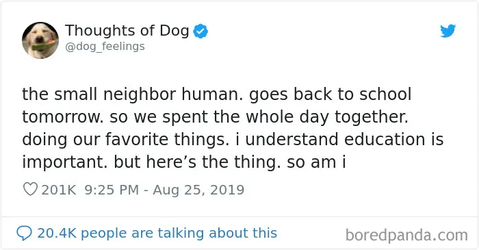 30 Of The Funniest Dog Thoughts That Dog Owners Understand Too Well (New Pics)