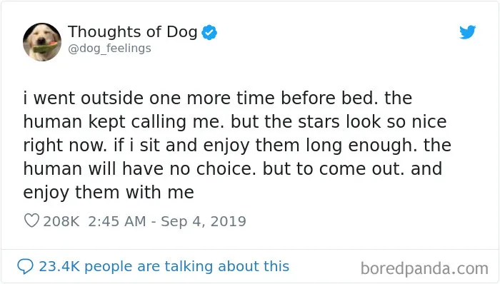 30 Of The Funniest Dog Thoughts That Dog Owners Understand Too Well (New Pics)