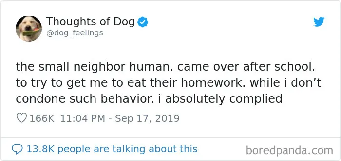 30 Of The Funniest Dog Thoughts That Dog Owners Understand Too Well (New Pics)