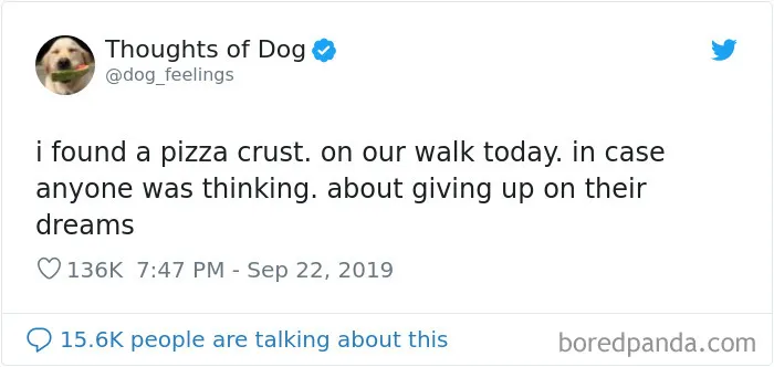 30 Of The Funniest Dog Thoughts That Dog Owners Understand Too Well (New Pics)