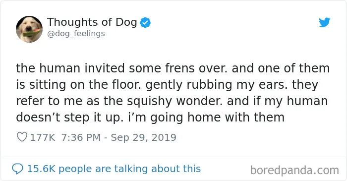 30 Of The Funniest Dog Thoughts That Dog Owners Understand Too Well (New Pics)