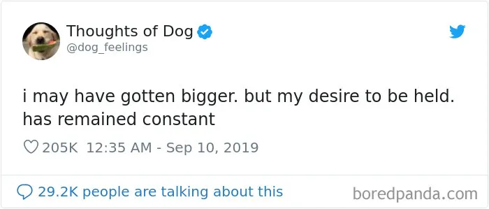 30 Of The Funniest Dog Thoughts That Dog Owners Understand Too Well (New Pics)