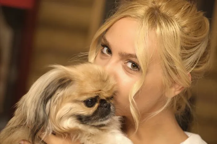 People Show How Animals Should Be Loved