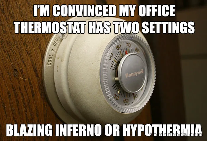 If You're Freezing In Your Office Then These 29 Memes Are For You