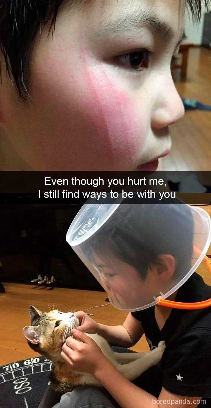 40 Hilarious Cat Snapchats That Will Leave You With The Biggest Smile (New Pics)