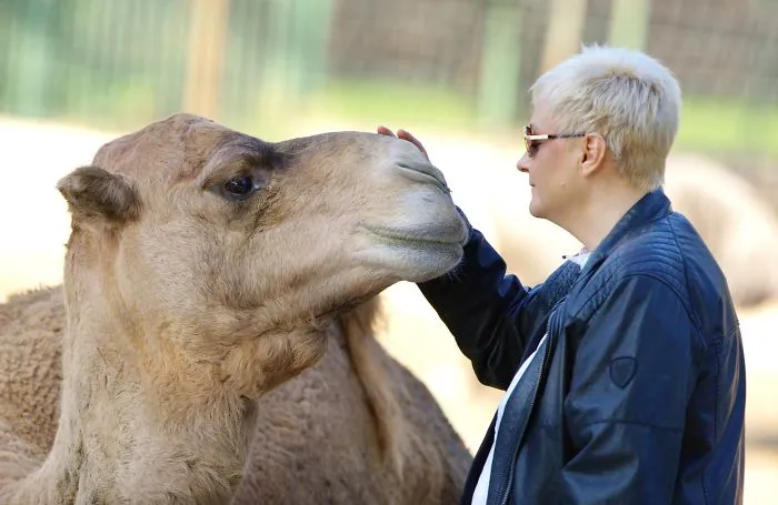 People Show How Animals Should Be Loved